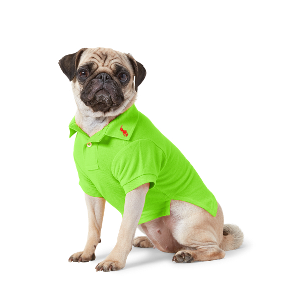 LABRADOR RETRIEVER Ralph Lauren ハンガー The Pup Shop: Designer Pet Apparel & Accessories | Ralph Lauren