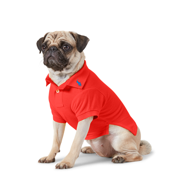 Cotton Mesh Dog Polo Shirt