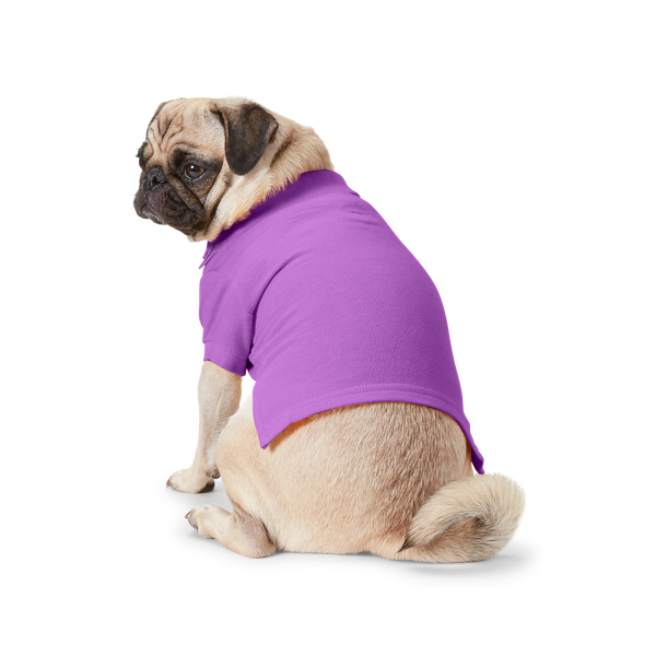 Cotton Mesh Dog Polo Shirt