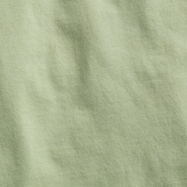 Desert Green Cotton Jersey Graphic Tee RRL 6