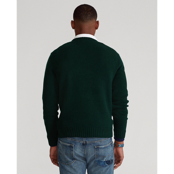 Moss Agate Anorak Bear Jumper Polo Ralph Lauren 5