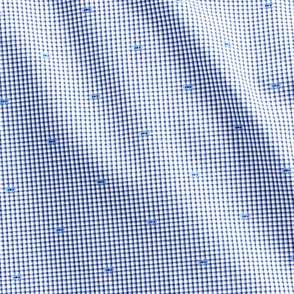 Blue/White Classic Fit Gingham Shirt Polo Ralph Lauren 4