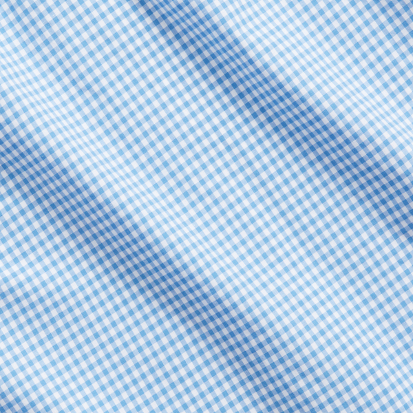 Slim-Fit Ginganhemd aus Stretchpopeline Polo Ralph Lauren in Blau/Wei&szlig; kariert 8