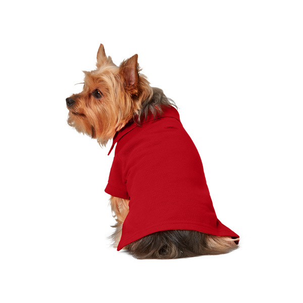 Ralph Lauren Pet 코튼 메시 도그 폴로 셔츠 브릭 2