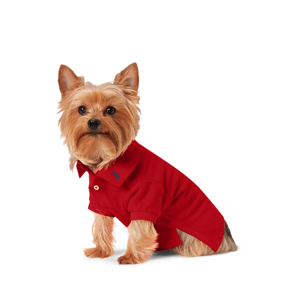 Ralph Lauren Pet 코튼 메시 도그 폴로 셔츠 브릭 1