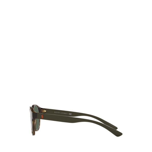 Shiny Dark Havana Color Shop Round Sunglasses Polo Ralph Lauren 3