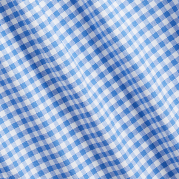 Blue/White Classic Fit Checked Oxford Shirt Polo Ralph Lauren 7