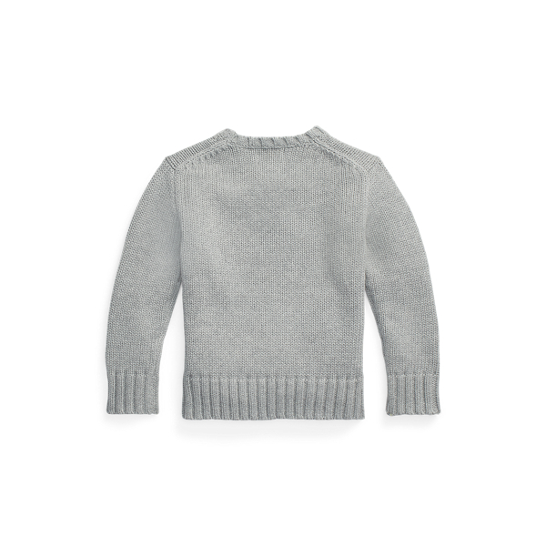 The Iconic Flag Jumper
