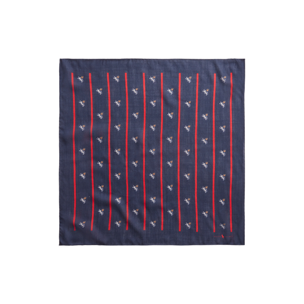 Navy/Red Striped Wool Bandanna Polo Ralph Lauren 2
