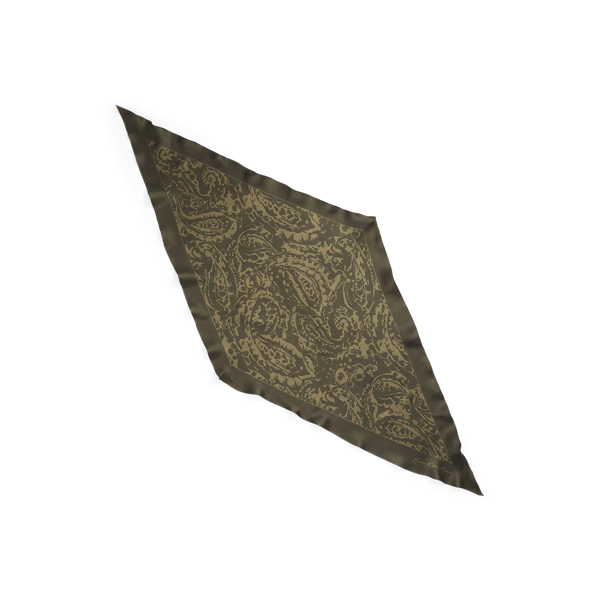 Dark Olive Audrey Paisley Silk Twill Scarf Lauren 2