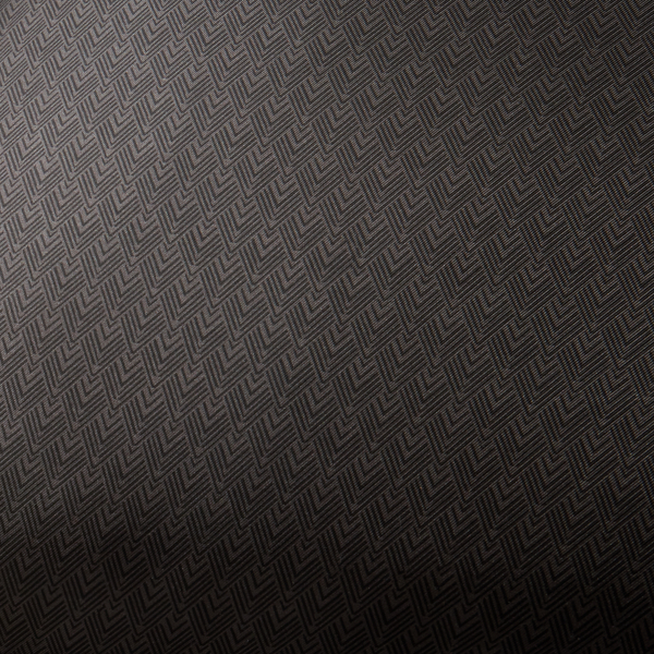 Coussin Percy Ralph Lauren Home en Noir 3