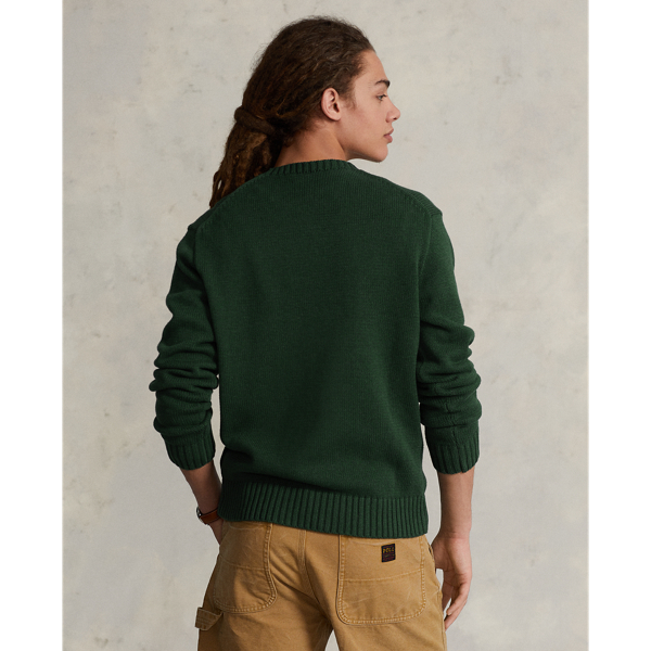 Baumwollpullover mit Polo Bear Polo Ralph Lauren in Neues Waldgr&uuml;n meliert 5