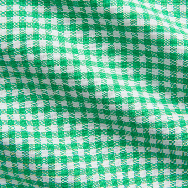 Emerald/White Classic Fit Gingham Oxford Shirt Polo Ralph Lauren 8