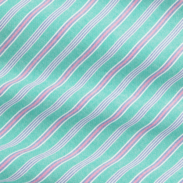 Green/Pink Multi Classic Fit Striped Oxford Shirt Polo Ralph Lauren 8