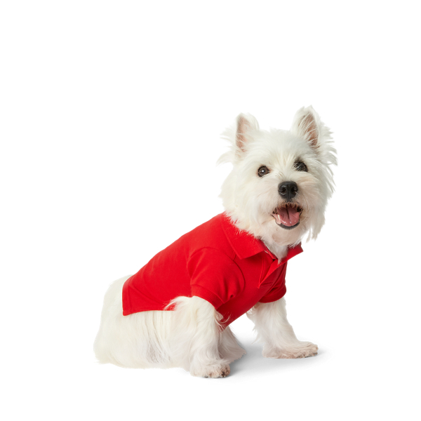 Polo Bear Cotton Mesh Dog Polo Shirt | Ralph Lauren® Australia