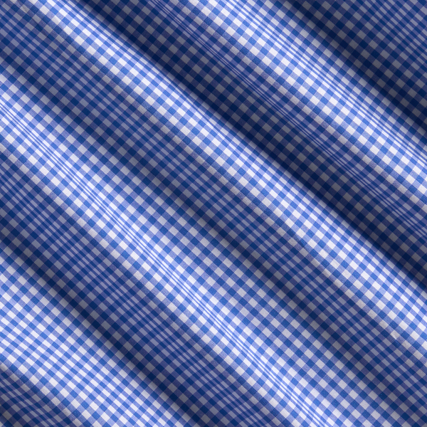 Gingham Stretch Poplin Shirt