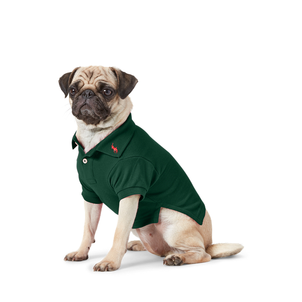 Cotton Mesh Dog Polo Shirt