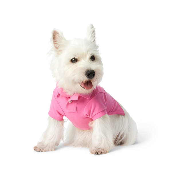 Hunde-Poloshirt aus Piqu&eacute; mit Polo&nbsp;Bear