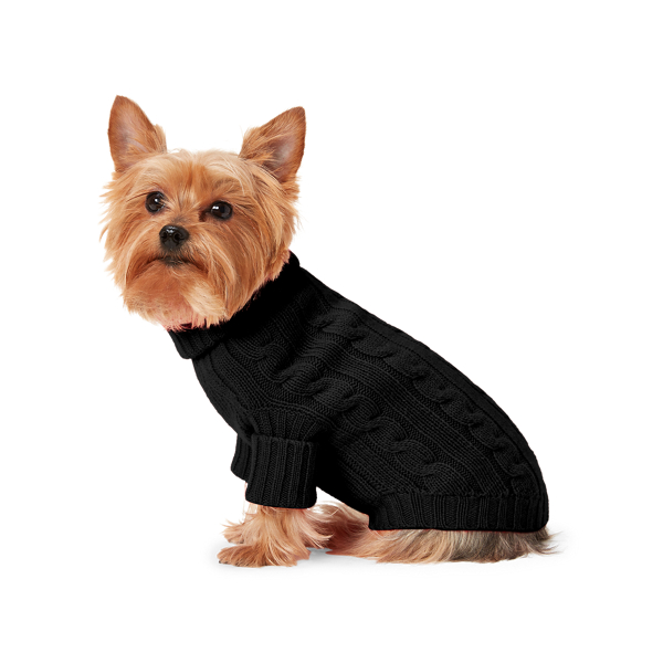 Hundepullover aus Kaschmir Polo Ralph Lauren in Polo-Schwarz uni 3