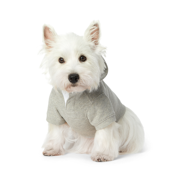 Hunde-Kapuzenpullover mit Polo&nbsp;Bear Polo Ralph Lauren in 1