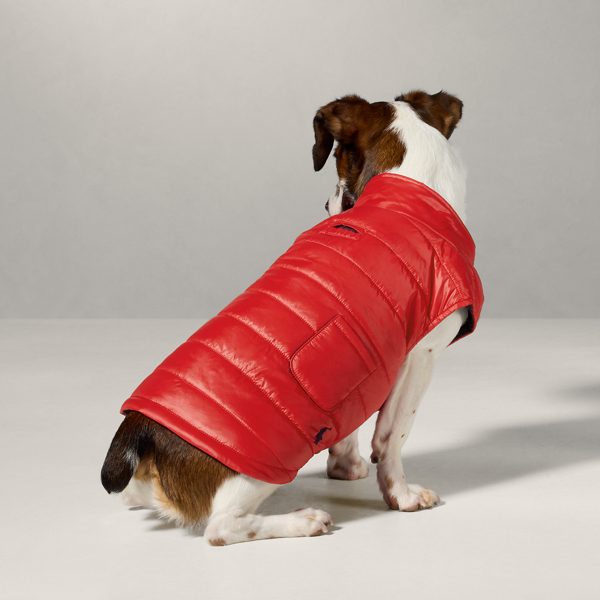 Ralph lauren pup shop best sale