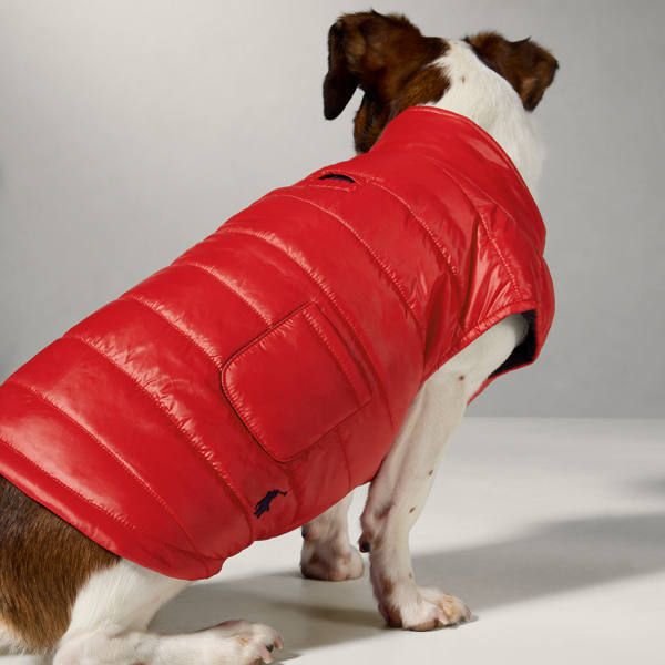 Puppy puffer jacket hotsell