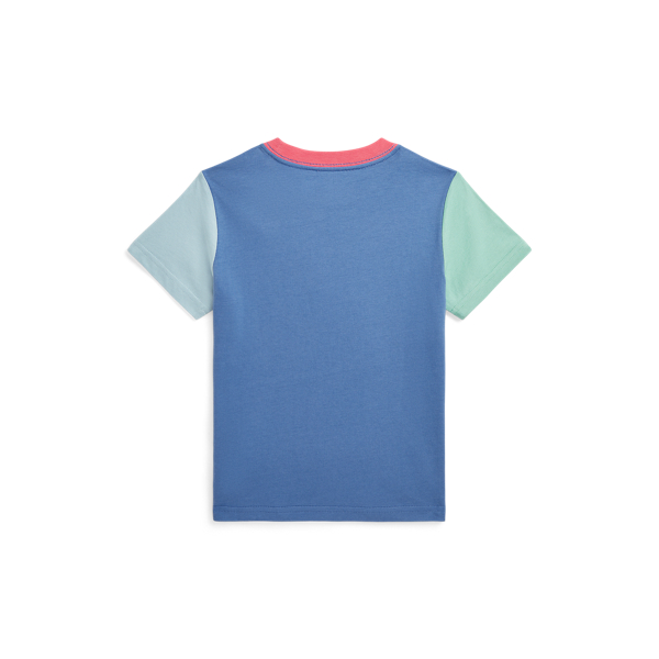 French Blue Polo Bear Color-Blocked Cotton Tee Boys 2-7 3