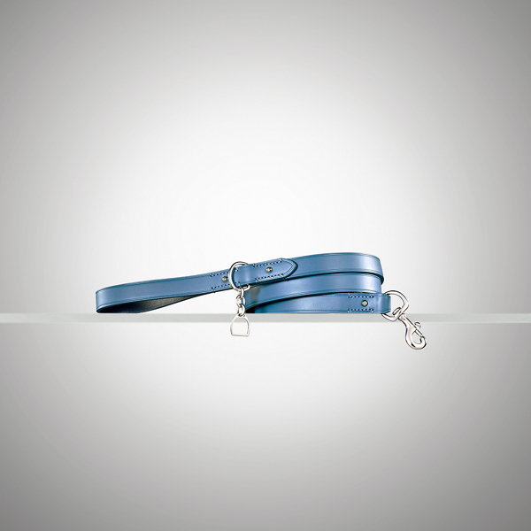 French Blue Stirrup Dog Leash Ralph Lauren Pet 1