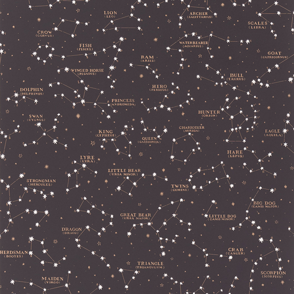 Starry Sky Swatch: Black