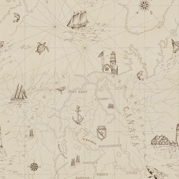 Shipping Lanes Map Swatch: Bone