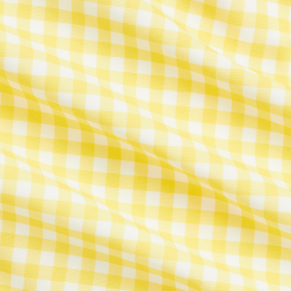 Gingham Ruffled One-Piece Rash Guard