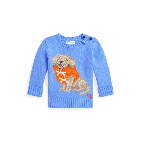 Harbor Island Blue Pull coton motif chiot tricot intarsia Baby Boy 1
