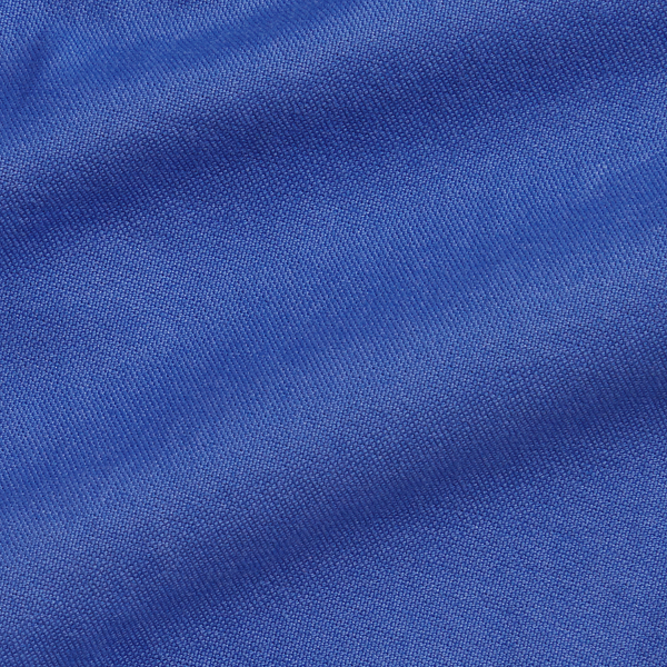 Big Pony Cotton Oxford Shirt