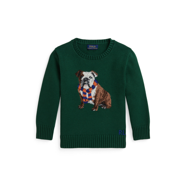 Boys green sweater best sale