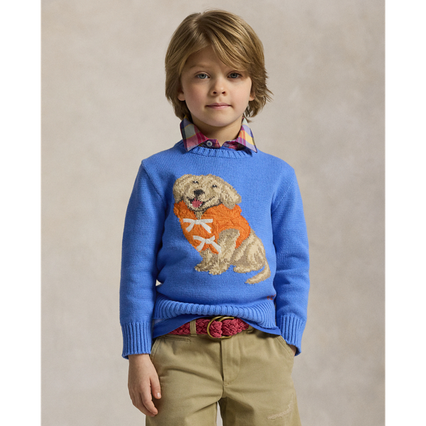 Harbor Island Blue Pull coton motif chiot tricot intarsia Boys 1.5-6 Years 1