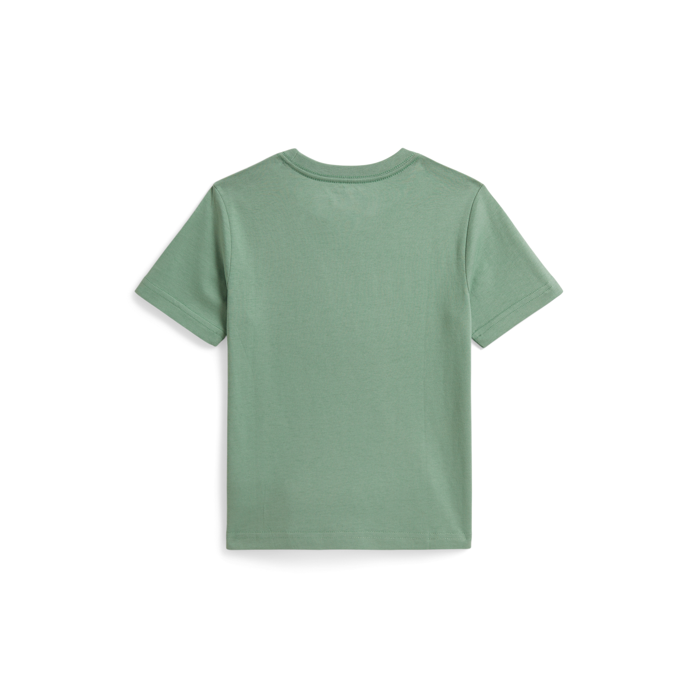 Детская футболка Ralph Lauren Logo Cotton Jersey Graphic, цвет: Выцветший мятный — фото 1