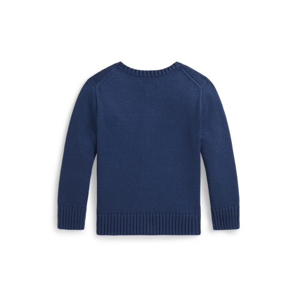 Pullover mit Polo Bear Boys 1.5-6 Years in Alt-Royal 2