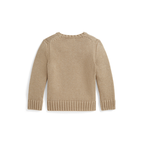 Детские свитеры Ralph Lauren Contrast-Trim Iconic Flag Sweater
