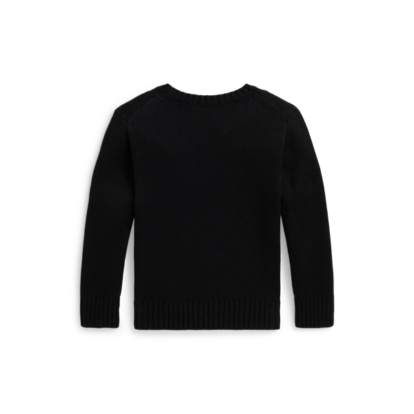 Polo Bear Jumper