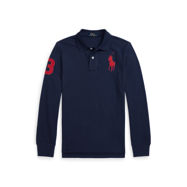 Polo rugby bear hoodie sale