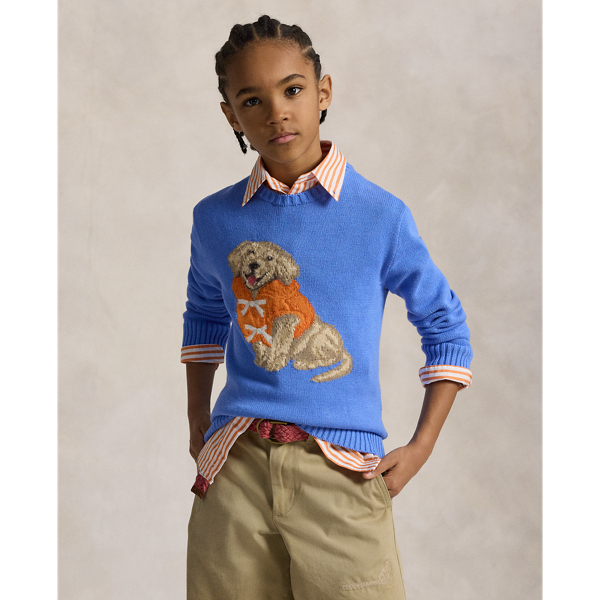 Harbor Island Blue Pull coton motif chiot tricot intarsia Boys 6-14 Years 1