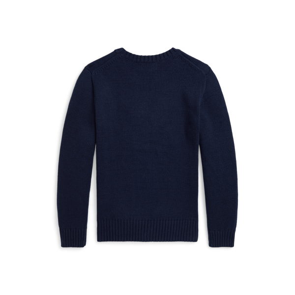 Polo Bear Cotton Sweater