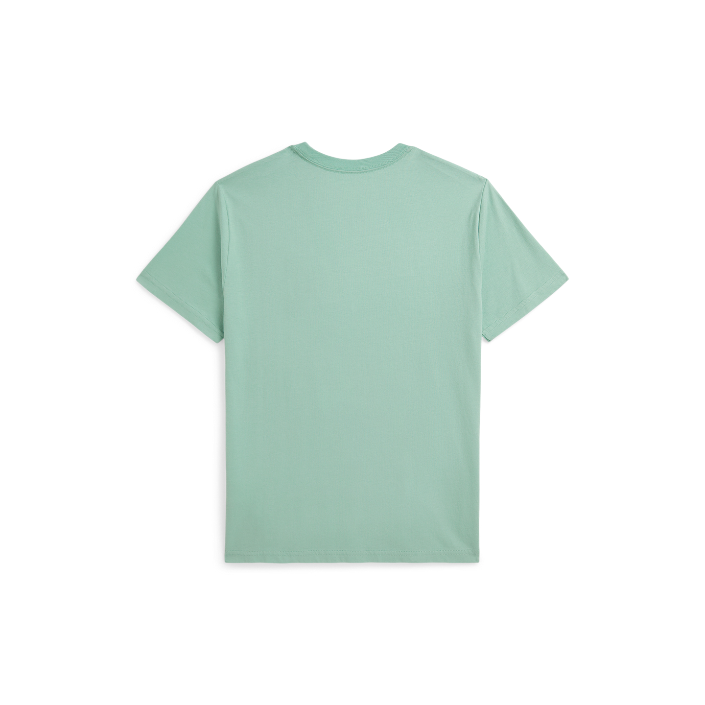 Детская футболка Ralph Lauren Logo Cotton Jersey Tee, цвет: Celadon — фото 1