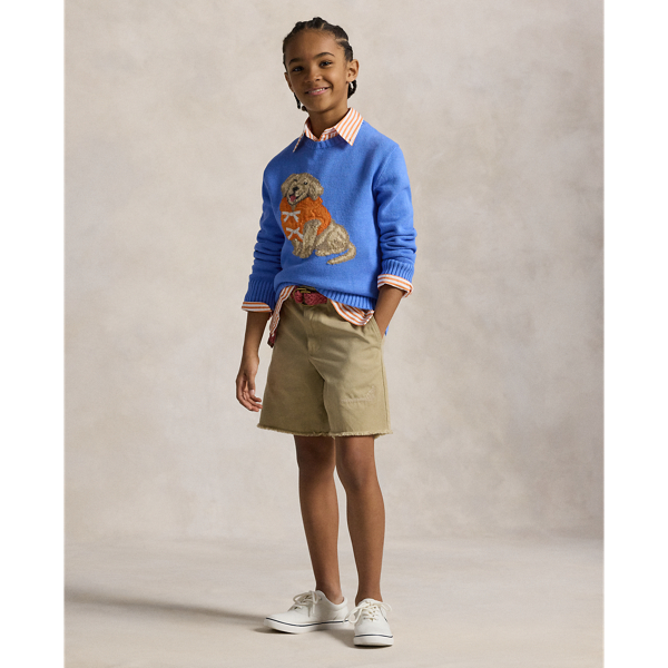 Baumwollpullover mit Hundemotiv Boys 6-14 Years in Harbor-Island-Blau 4