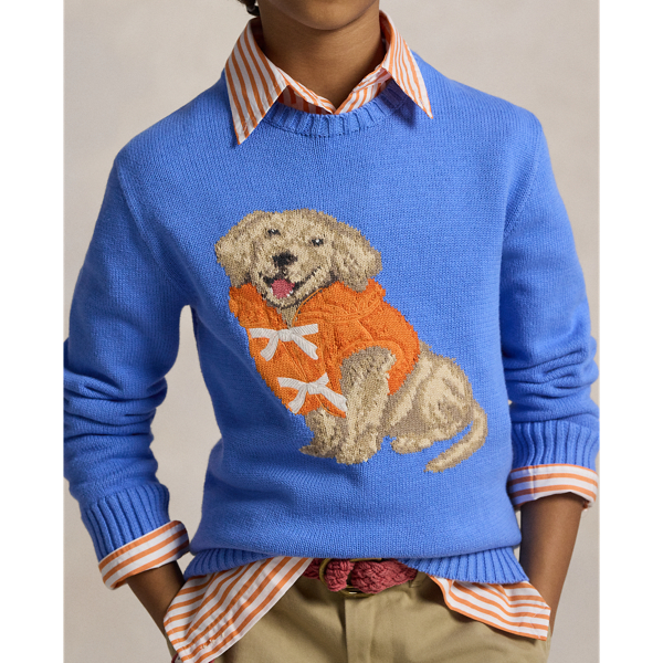 Baumwollpullover mit Hundemotiv Boys 6-14 Years in Harbor-Island-Blau 5