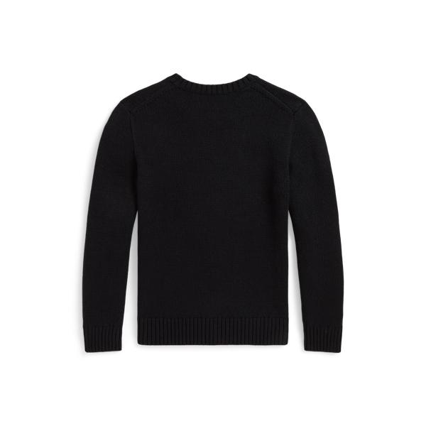 Polo Bear Jumper