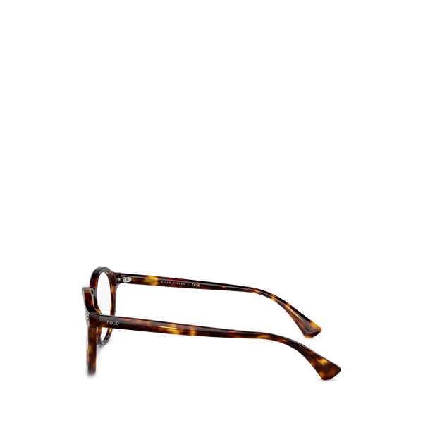 Shiny Brown Tortoise Heritage Pen-Pin Glasses with Sun Lenses Polo Ralph Lauren 3
