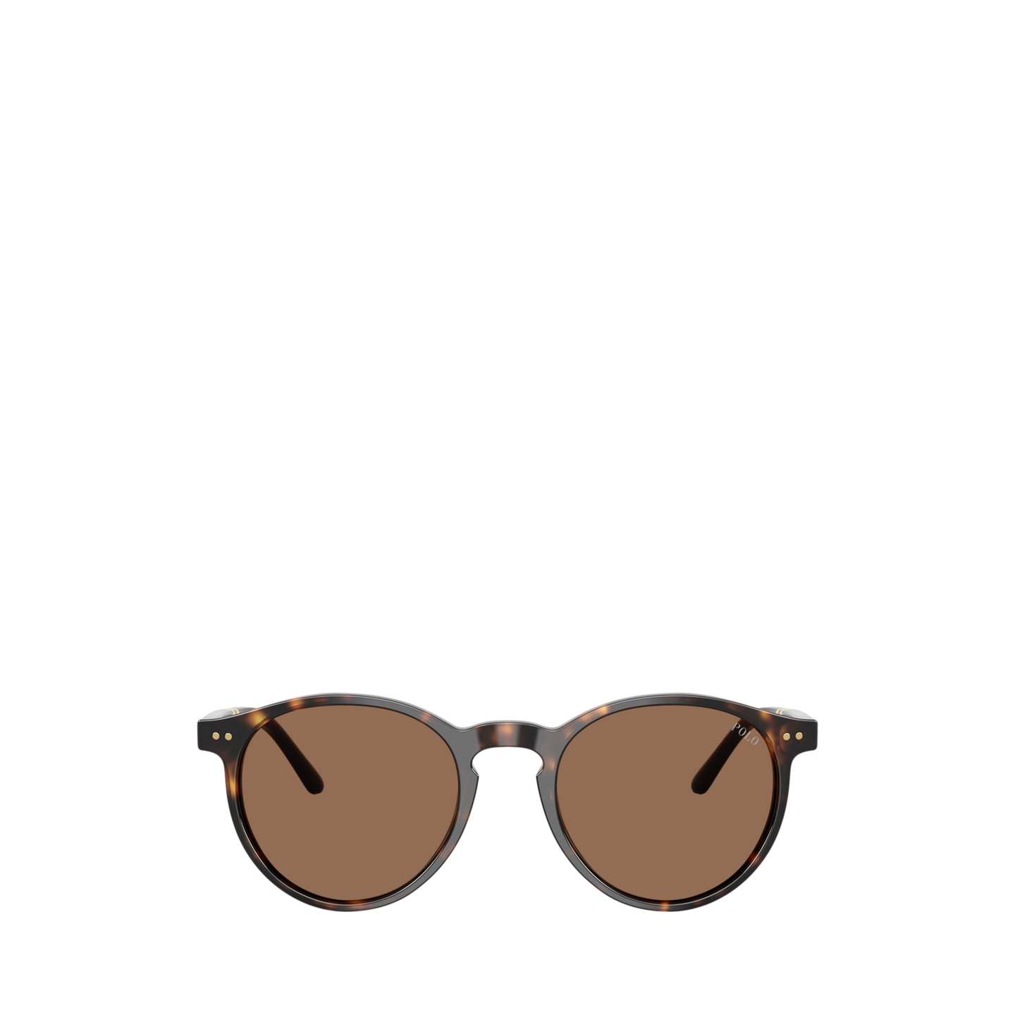 Мужские солнцезащитные очки Ralph Lauren Rugby-Stripe Round Sunglasses, цвет: Тёмный гавана — фото 1