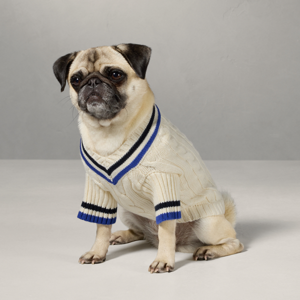 Cotton Cricket Dog Jumper Ralph Lauren QA