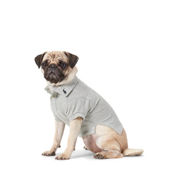 Cotton Mesh Dog Polo Shirt Ralph Lauren UK